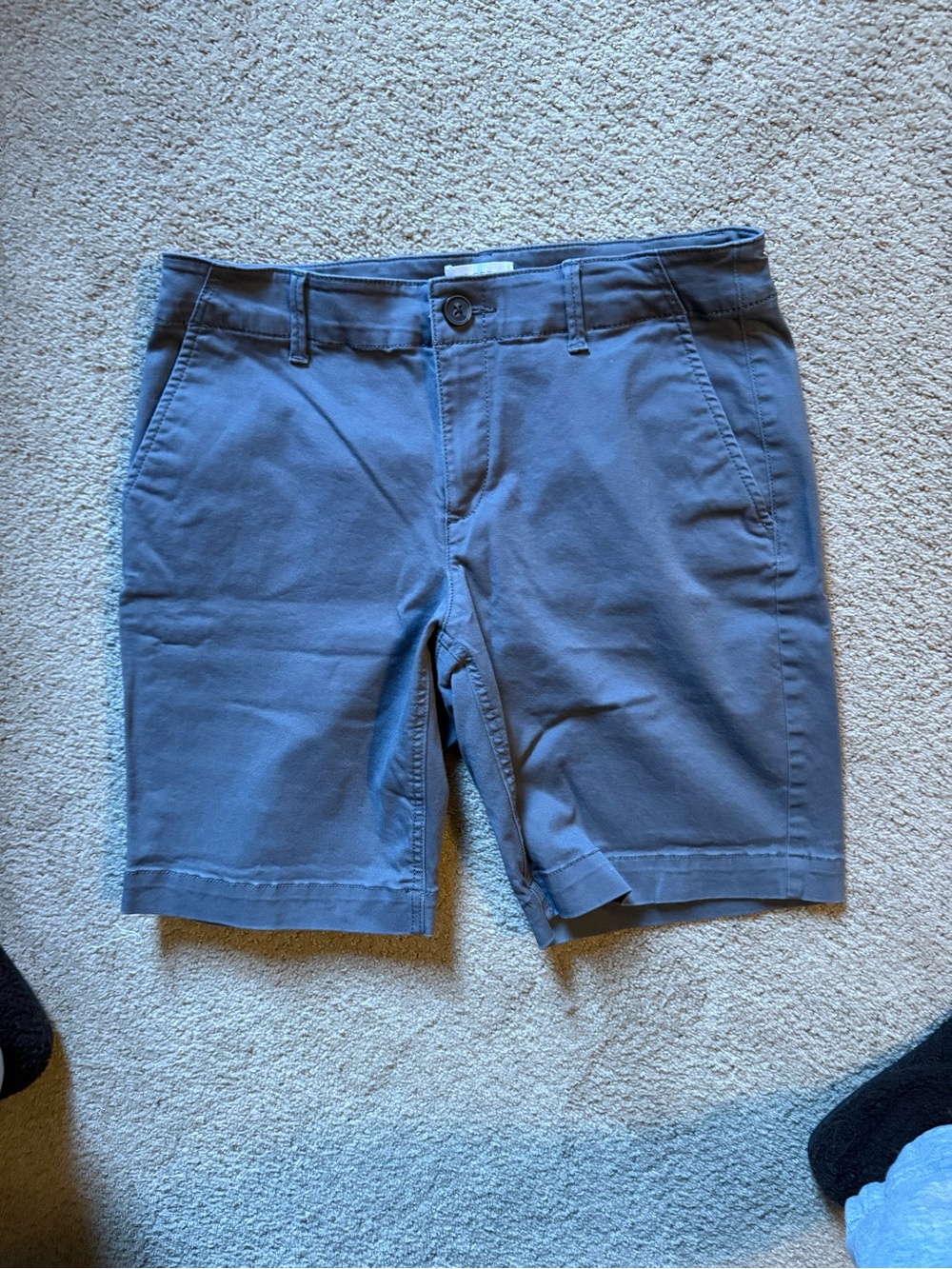 LOFT Women’s Slate Blue Flat Front Chino Shorts